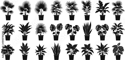 Indoor house plants silhouette set, tropical potted plants collection, monstera palm and snake plant, home garden decor vector illustration, isolated