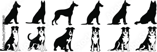 Dog silhouette collection with different breeds sitting and standing plus detailed dog illustrations isolated vector set for pet design logo icon and animal graphics