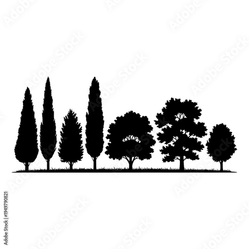 Silhouette of various tree species.