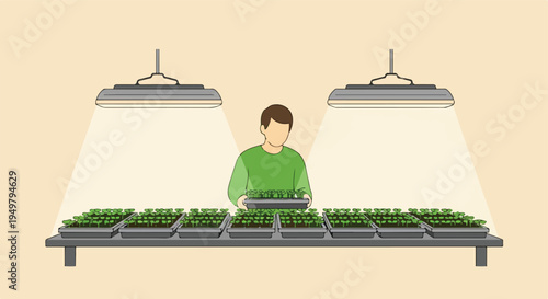 Person tending to trays of young plants under grow lights
