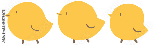 병아리 산책