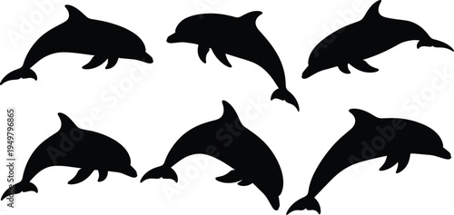 Black dolphin silhouettes in dynamic poses, six variations showing aquatic motion, marine wildlife elegance and ocean animal design sequence
