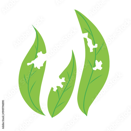 illustration of a leaf with holes eaten by insects