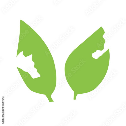 illustration of a leaf with holes eaten by insects