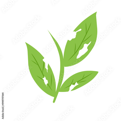 illustration of a leaf with holes eaten by insects