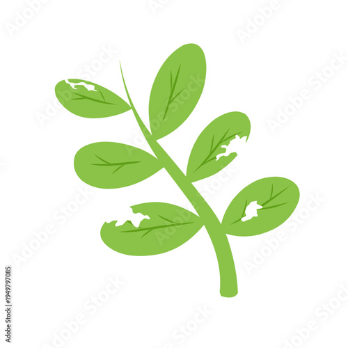 illustration of a leaf with holes eaten by insects