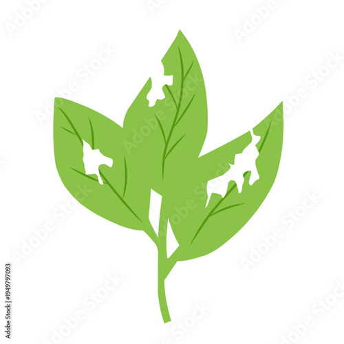 illustration of a leaf with holes eaten by insects