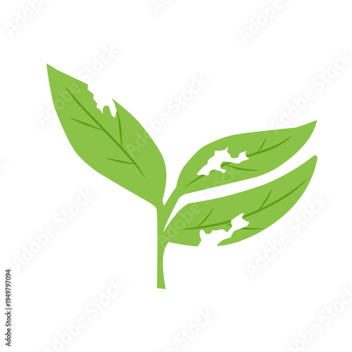 illustration of a leaf with holes eaten by insects
