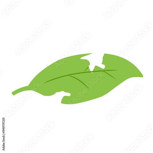 illustration of a leaf with holes eaten by insects