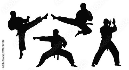 Dynamic martial artists performing various kicks and stances captured in a striking silhouette high quality professional