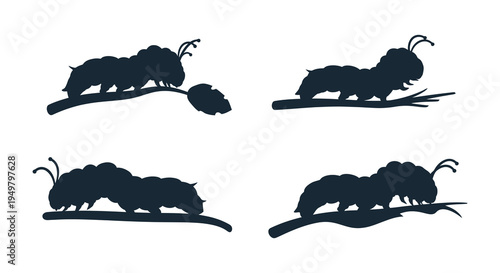 Four caterpillar silhouettes resting on branches displaying distinct poses and shapes silhouette high quality professional detailed