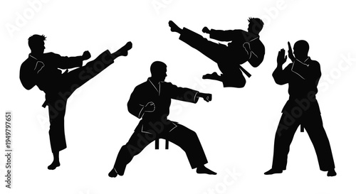 Dynamic martial artists demonstrate powerful kicks and blocks in a striking black silhouette high quality professional
