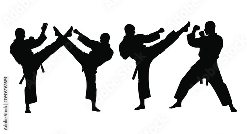 Four karate practitioners demonstrate dynamic kicks in a striking black silhouette high quality professional detailed modern