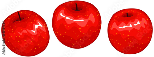 リンゴ　丸ごと　３つ