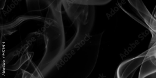 Smoke motion abstract white smoke collage on dark background, fluid lines and curves representing strength and vitality, texture white smoke on a black background abstract.