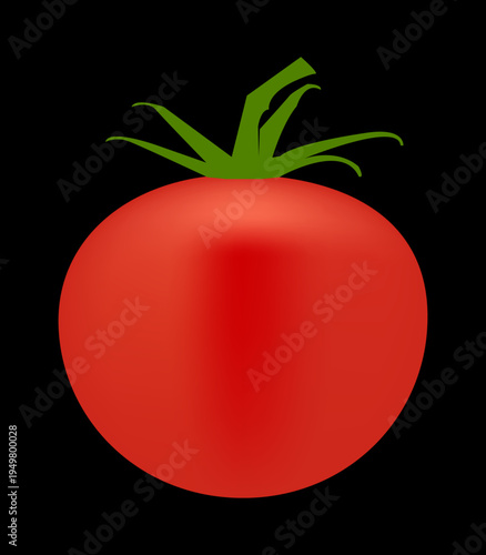 Red tomato vector illustration on black and green background