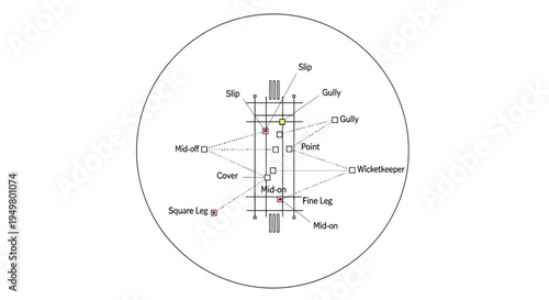 Vector diagram of eye anatomy, labeled illustration