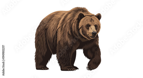 Brown Bear Walking Isolated