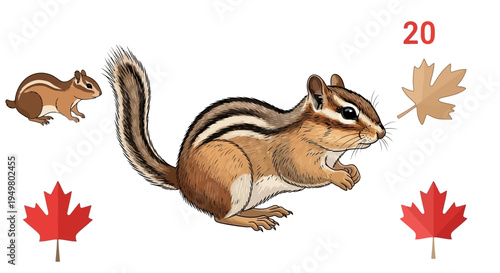 Chipmunk with Autumn Leaves and Number 20 Illustration