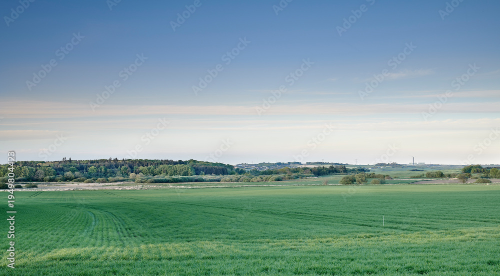 Fototapeta premium Landscape, field and sky with crops at farm on horizon, space or sustainability in autumn. Outdoor, rural environment and food production for organic grain, trees or eco friendly agriculture in Italy