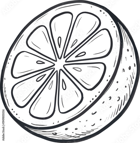 Lemon slice or half line icon vector illustration. Hand drawn outline citrus with peel in yellow color. Amalfi or Sicily emblem of ripe lemon drawing in ink doodle style. Isolated design element.