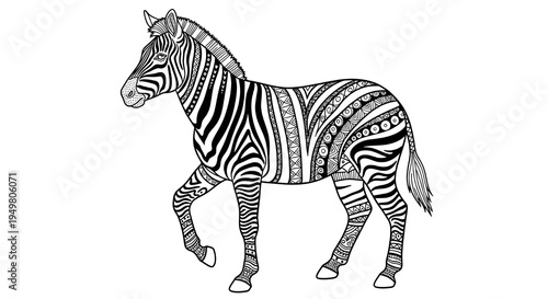 Decorative Zebra Zentangle Illustration – Black Ink Wildlife Line Art