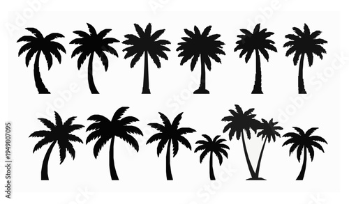 Stylized tropical palm tree silhouettes vector collection for beach and summer design isolated on white