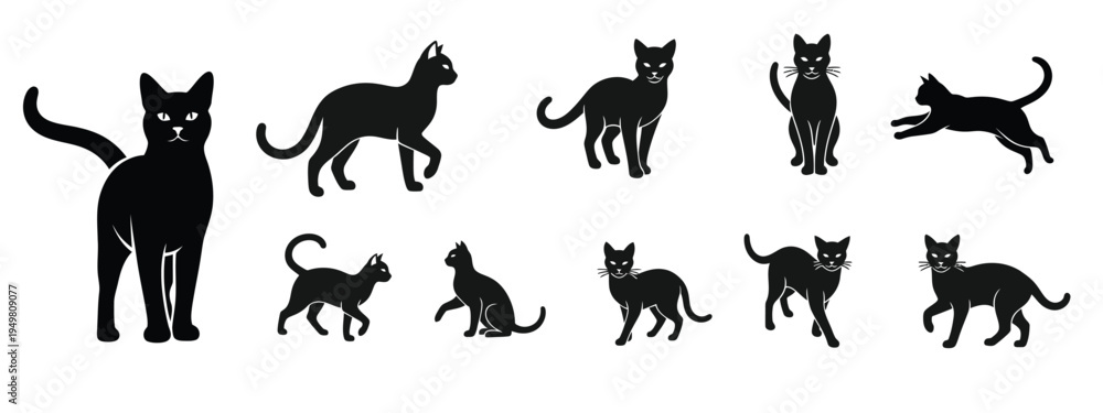 Obraz premium Cute Cat Pet Outline Icon Set Collection