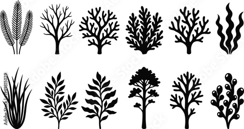 Seaweed and coral silhouette vector set, black underwater marine plant icons, ocean reef vegetation collection, aquatic flora elements, sea life nature symbols