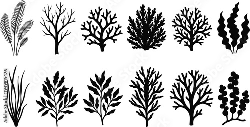 Black coral and seaweed silhouette set, underwater marine plant icons, ocean reef vegetation collection, aquatic flora elements for design, sea life nature symbols