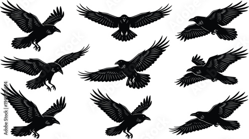 Flying raven and crow silhouette set, black bird wildlife icons with spread wings, mystical crow flight collection, nature scavenger vector symbols for design