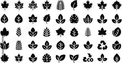 Set of black leaf silhouettes in various shapes for nature design projects