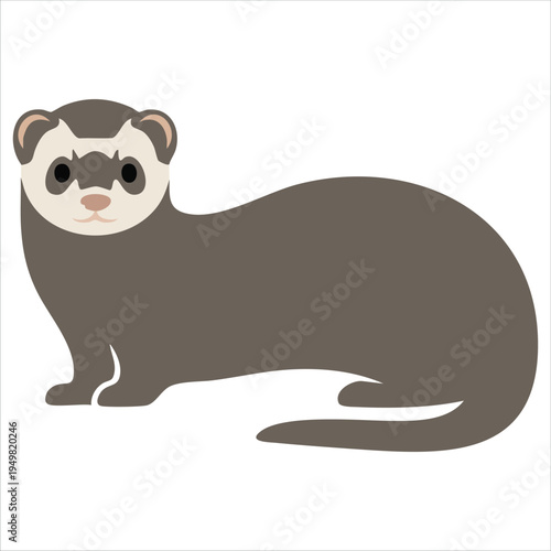 Charming deformed style ferret animal cartoon vector graphic on white background