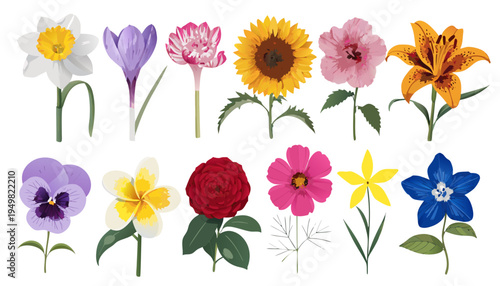 Gemini said

A colorful set of spring flowers featuring roses and tulips in a floral vector illustration for summer nature design with pink poppy blossoms and green leaf elements on a beauty card