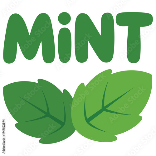 Green mint leaves set for herbal tea and cooking ingredient vector