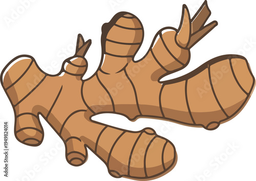 A detailed brown illustration of a fresh ginger root, textured surface, perfect for culinary use.