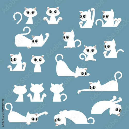 A collection of unique and interesting cat images,