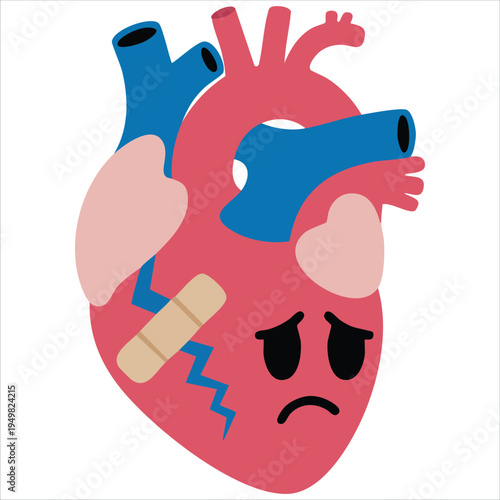 Realistic heart illustration flat design for anatomy vector