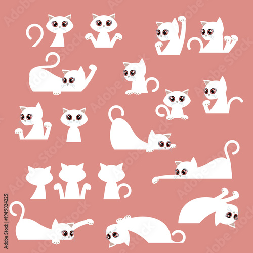 A collection of unique and interesting cat images,