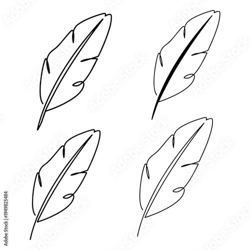 Feather silhouette and single line art vector bird plume set