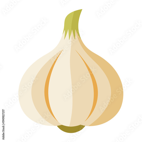 Garlic bulb icon, illustration, vector graphic