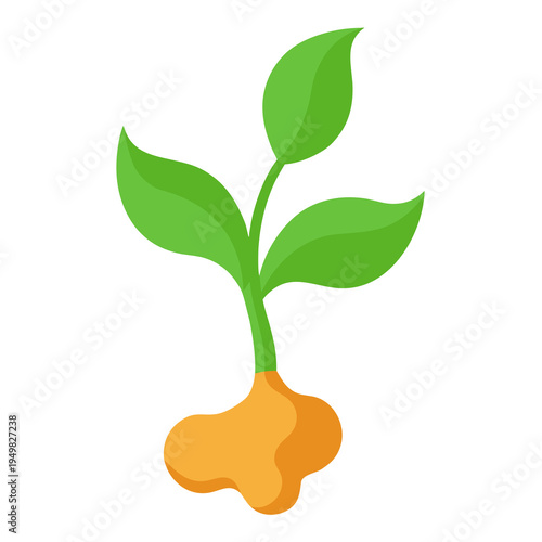 Cartoon ginger root plant icon