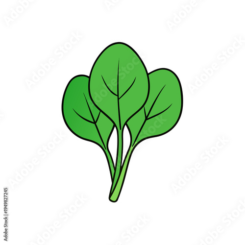 Green leafy vegetable icon, illustration