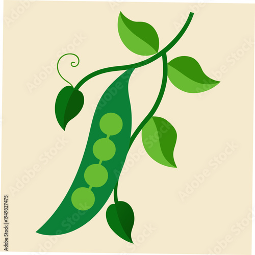 Vector green pea pod icon, illustration