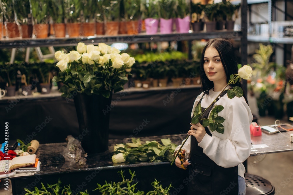 Fototapeta premium Female florist preparing fresh white roses in flower shop
