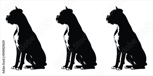 Three Black Silhouettes of Boxer Dogs Sitting in Profile on a White Background canine animal