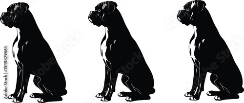 Three black silhouettes of boxer dogs sitting and facing left on a white background canine animal