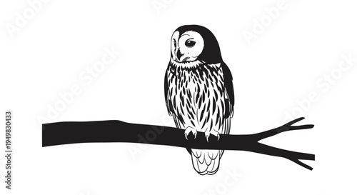 Owl Perched on a Tree Branch.