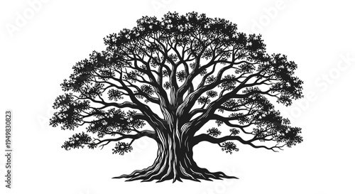 Large Tree with Thick Trunk Branches.