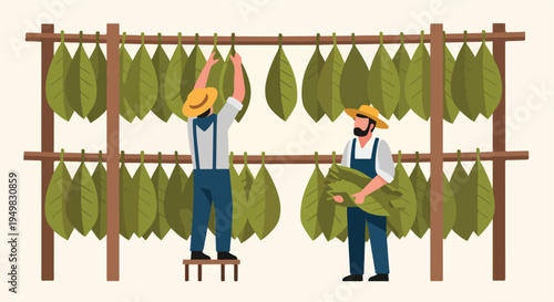 Farmers drying large green leaves on wooden racks in a flat illustration